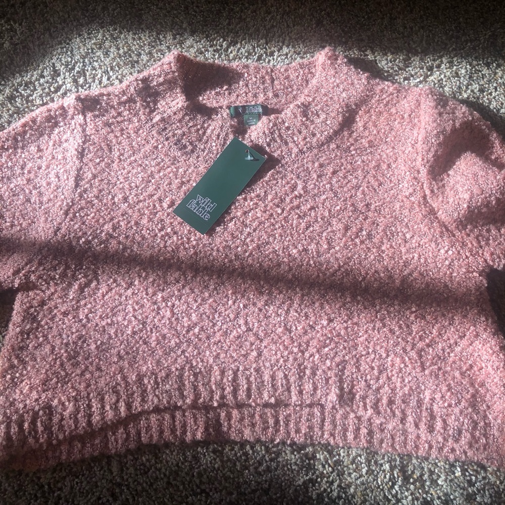 NEW with tags Cropped Sweater by Wild Fable